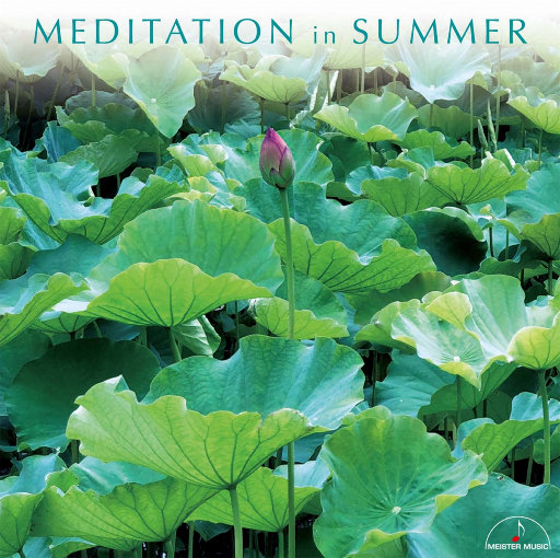 动漫裸体美女被操在线观看网
